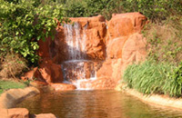 Goa Wildernest Nature Resort Goa Nature Resort Goa Exo Resort Goa Hotels Goa Resorts Goa Guide Goa Package Goa India.
