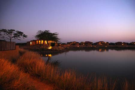 A The Blackbuck Lodge Night