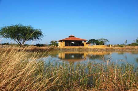 The Blackbuck Lodge Around View
