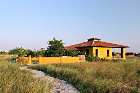 The Blackbuck Lodge View