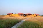 A The Blackbuck Lodge