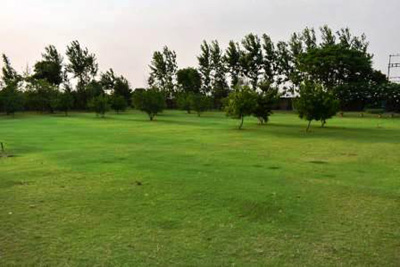 Golfing Greens Farm Gurgaon