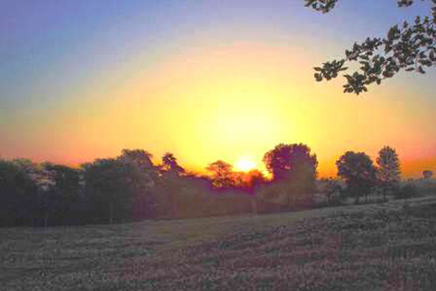 Serene Farm  Manesar, Gurugram