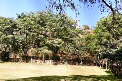 Serene Farm  Manesar, Gurugram