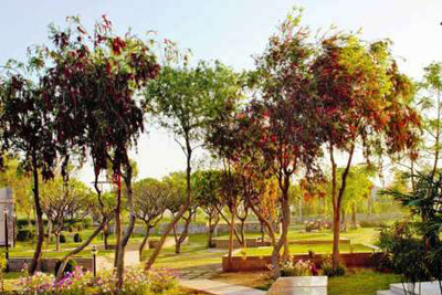 Serene Farm  Manesar, Gurugram 