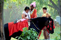 Best Western Resort Country Club,Book New Delhi Hotels with Local Support and Rates,New Delhi hotels and New Delhi city guide with New Delhi hotel discounts.