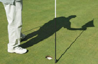 Best Western Resort Country Club,Book New Delhi Hotels with Local Support and Rates,New Delhi hotels and New Delhi city guide with New Delhi hotel discounts.