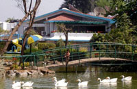 Best Western Resort Country Club,Book New Delhi Hotels with Local Support and Rates,New Delhi hotels and New Delhi city guide with New Delhi hotel discounts.