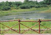 Waterbanks Island Resort View