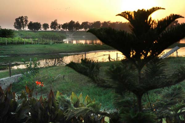 Dream-island-View
