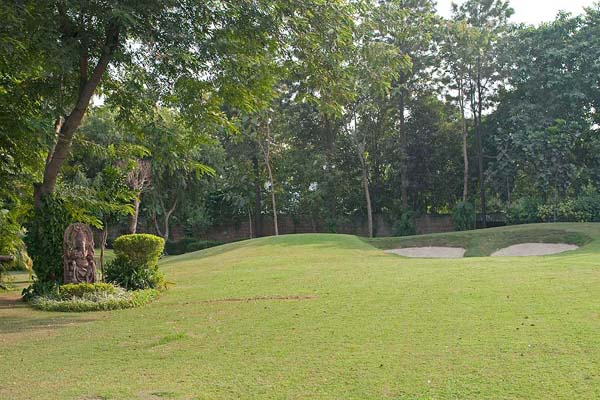 Golden Turtle Farm Lawn View