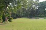 Golden Turtle Farm Lawn View
