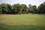 Golden Turtle Farm Lawn