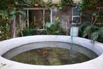 Golden Turtle Farm fish Tank