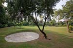 Lawn