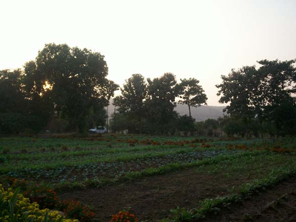 A Farm Views5