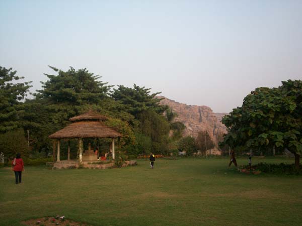 A Farm