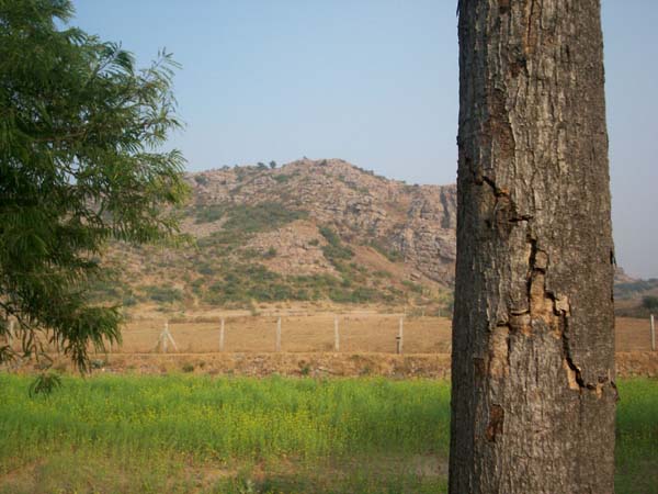 Hill View from Laksh Farm