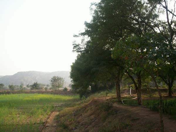 Hill View from Lakshfarm