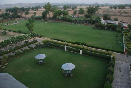 Lawn