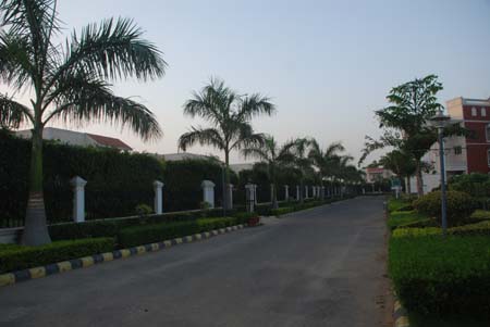 Paradise Green Gurgaon View