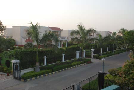 Paradise Green View
