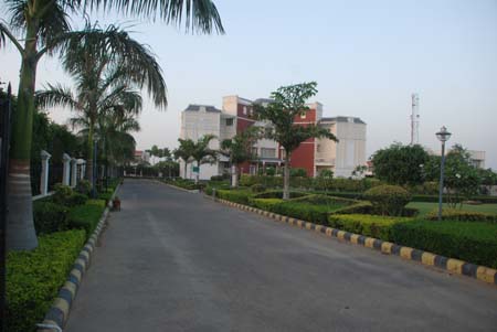 Paradise Green inner View
