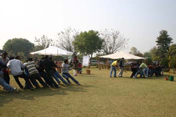 tug-of-war