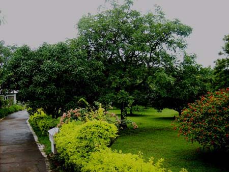 Yorks Health Resort Lawn Side View