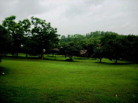 Yorks Health Resort Lawn