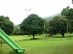 Yorks Health Resort Game
