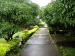 Yorks Health Resort Garden  View