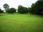 Yorks Health Resort Lawn 1