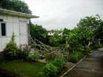 Yorks Health Resort Lawn Cottages View
