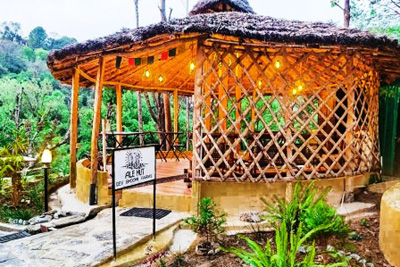 Dharamshala Farms, Dharamshala