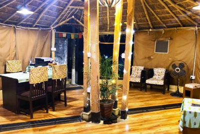Dharamshala Farms, Dharamshala