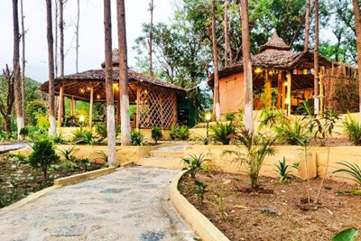 Dharamshala Farms, Dharamshala