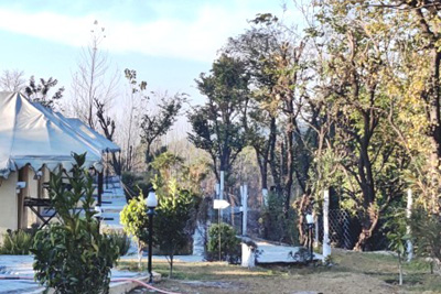 Dharamshala Farms, Dharamshala