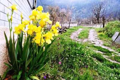 Gazan Organic Farm Gazan, Near Manali