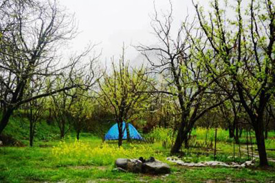 Gazan Organic Farm Gazan, Near Manali