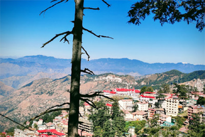 Hotel Landmark Shimla