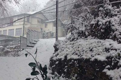 Hotel Silverine Shimla