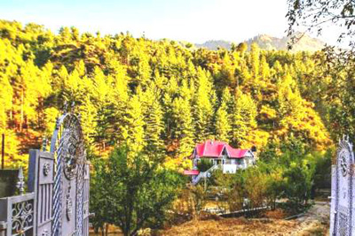 Kullu Orchard Villa, Kullu