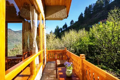 Naggar Apple Orchard