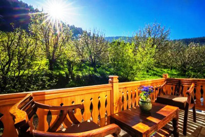 Naggar Apple Orchard