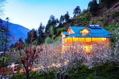 Naggar Apple Orchard