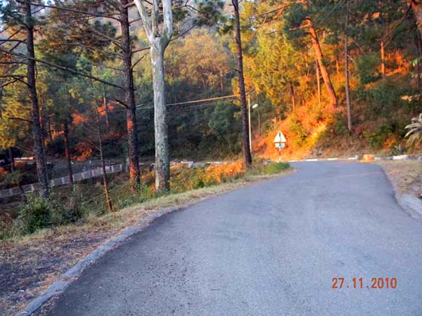 Alpine Resort Nearby trek