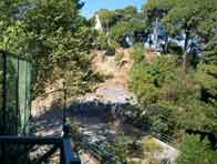 view from cottage