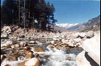 CLASSIC HOTEL MANALI,Classic Hotel Manali,classic hotel manali,Manali Hotels, Hotels in manali, Manali Resorts, Manali Packages, Manali Hotel Packages, Manali Holidays, Manali Car Packages.