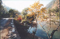 MORI CAMP,Mori Camp,mori camp,Trekking in the Himalayas with Banjara Camps,Himachal pradesh.